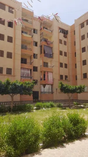 شقه للبيع بالياسمين مدينه بدر