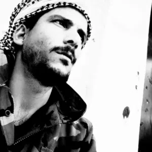 صقر الشمال