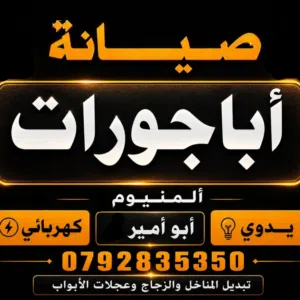 أبو أمير 