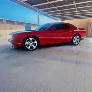 المقبالي 91 