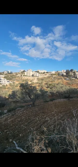 أرض للبيع، من المالك