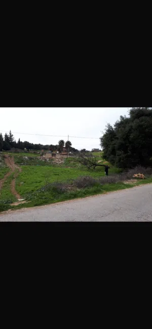 Residential Land for Sale in Salt Zay