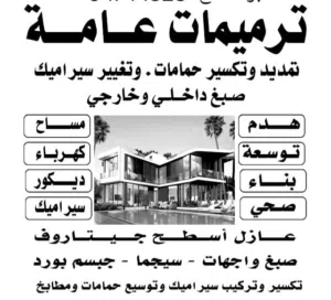 صلاح محمود