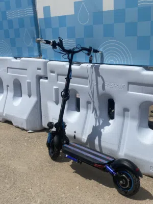 E scooter windhorse h5
