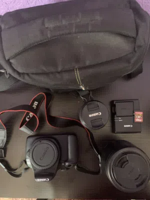Canon 1200D with basic canon lens & Sigma 70-300DG telephoto lens