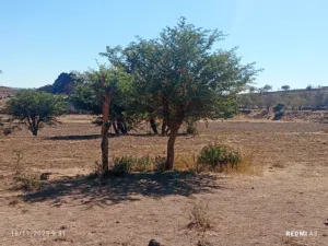 Farm Land for Sale in Sana'a Sabaha