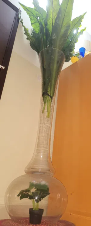HOME DECORATION PLANT BIG!