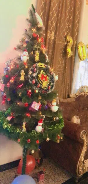 شجرة كرسمس جديده و السعر قيم بما يرضي الله
