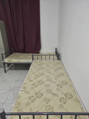 سكن شباب مشترك