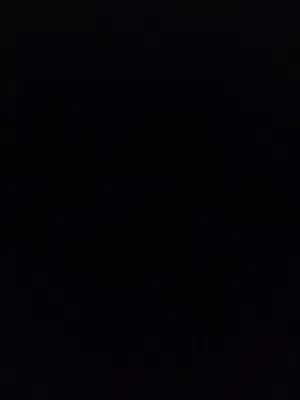 ..........