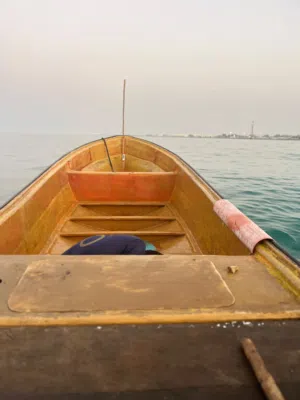 قارب 23 علية مع مكينه 48 الجاد يتواصل