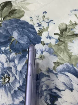 Apple iPhone 12 Pro Max 256 GB in Al Batinah
