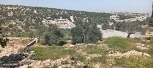 Residential Land for Sale in Tulkarm Deir Al-Ghusun
