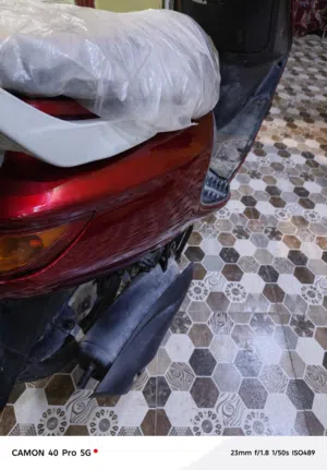 دراج فراشه للبيع