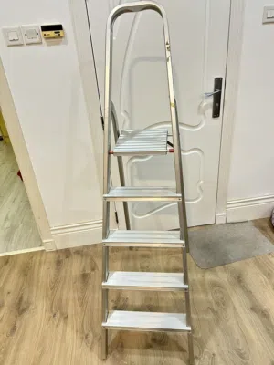Aluminum ladder