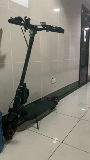 Rohan wings electric scooter