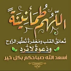 10000 م٢ . الوسيط3