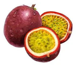 ‏أشجار - نباتات‏2