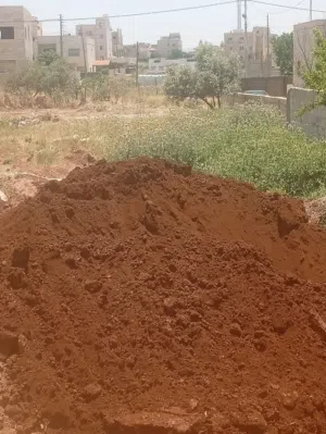 تراب احمر نضيف
