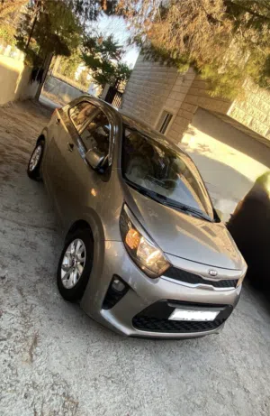 New Kia Picanto in Bethlehem