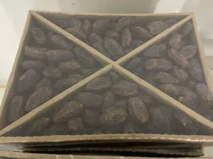 متوفر تمر مجهول كرتونه 5 كيلو  نخب اشي نضيف خالي من السوس والعفن