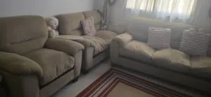 انتريه امريكي