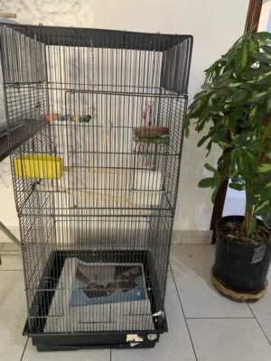 Large cage