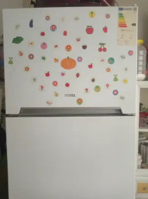 ‏فريزر ‏.‏ فيستل ‏.‏ مستعمل‏1