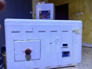 فقاسة بيض للبيع تابع الوصف