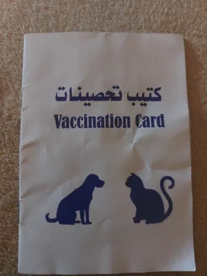 دكر لنق هير العمر 4 شهر بالكتيب متاعه واخد كامل التطعيمات المكان تاجوراء