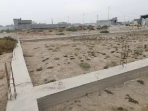 قطعة. أرض للبيع. في. الجزيره. الصقر. قرب المدار المدارس  المدارس علما يوجد ماء وكهرباء وشوارع. تبليط