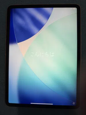 apple-ipad-pro-11-256-gb-in-hawally
