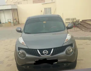 نيسان جيوك 2014
