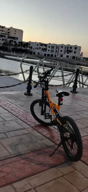 دراجه هوائيه أََّصْلِيَّهْ الحجم 20