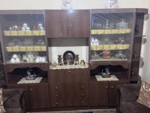 27 Other monitors for sale  in Amman