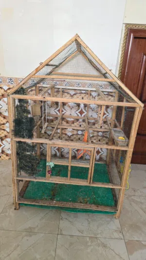 قفص طيور جملون