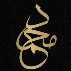 Mohammad al Hamidi 