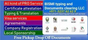 Typing and PRO Service in Dubai...