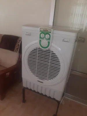 كونديشن صحراوي