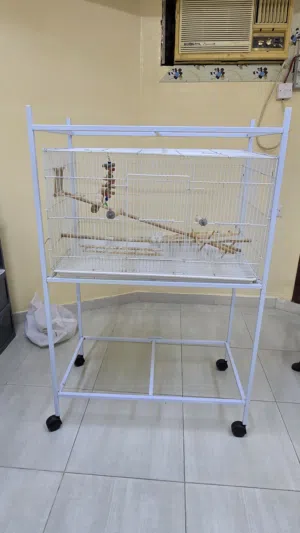 Birds cage