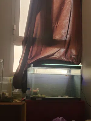 70 ltr gallon for sale
