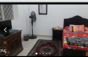 Furnished Daily in Cairo First Settlement