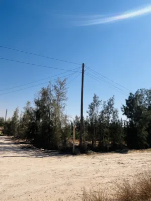 ارض سكنيه او زراعيه البيع