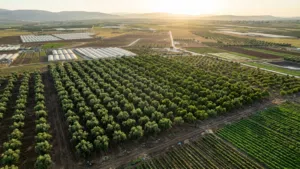 Farm Land for Sale in Amman Al-Khadra'