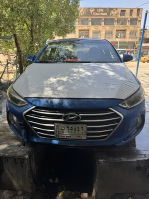النترا امريكي 2018