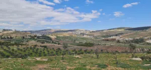 Residential Land for Sale in Jerash Other
