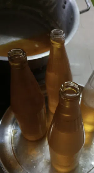 سمن  بقر ظفار