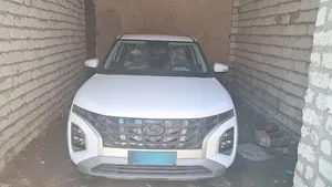 Hyundai . Creta . 20243