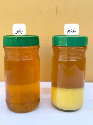 للبيع سمن عماني اصلي مضمون 100ب100