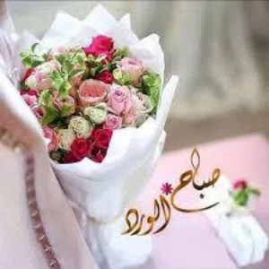 جرة غاز فارغة